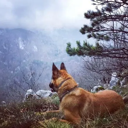 Sobe Lala Srebrenica
